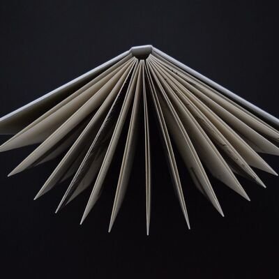 Bild von yuelanliu auf Pixabay